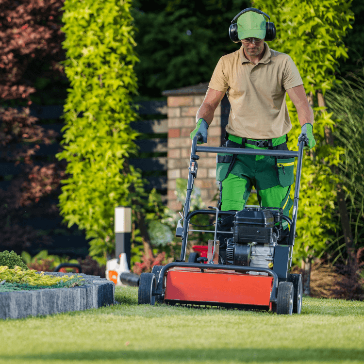 landscaping business professional