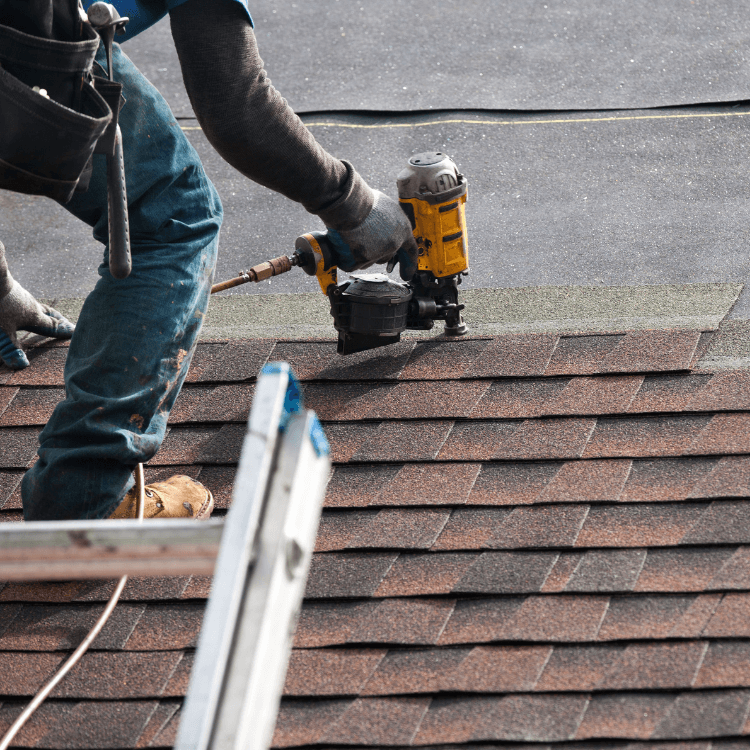 roofing business professional