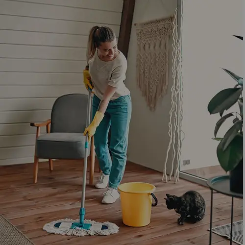 Cleaning software for Chicago