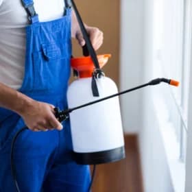 Pest Control software for Phoenix